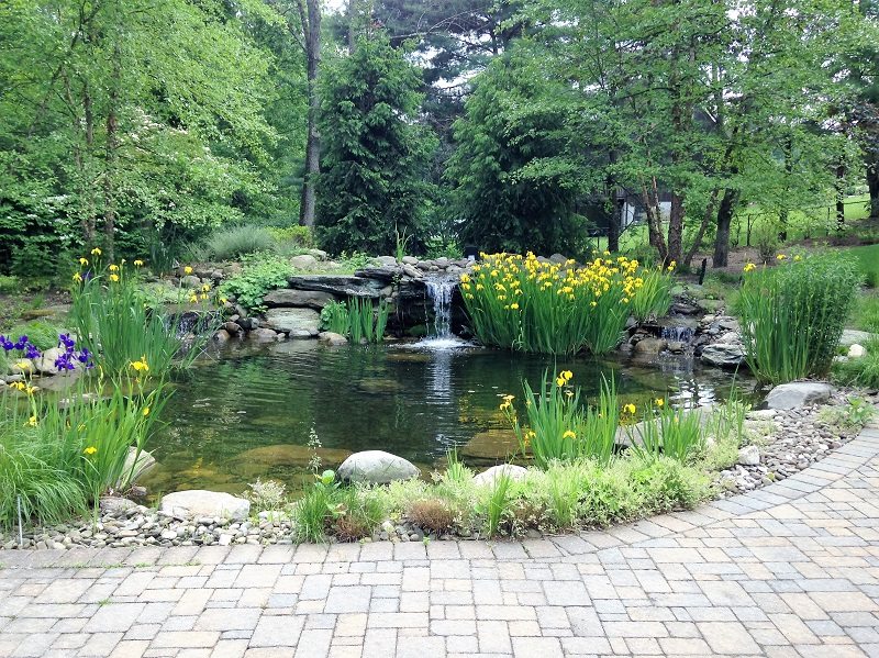 10 Ideas For Building Your Pond Oasis, Pond Landscaping Ideas