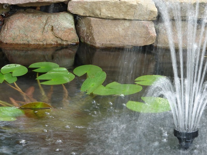 fountain pond backyard